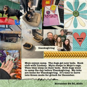 2024 week 48
