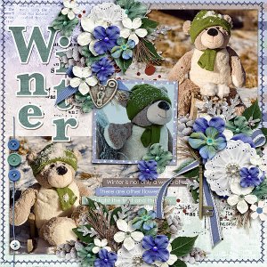 Winter Bear