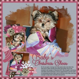 Baby's Christmas Shoes