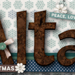 Dec. Siggy Challenge 2024