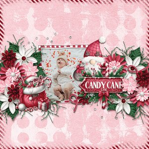 peppermint dreams