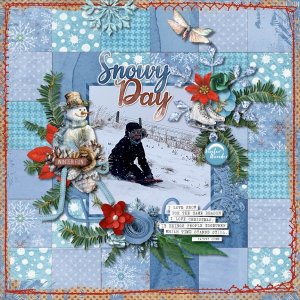 Snowy Day