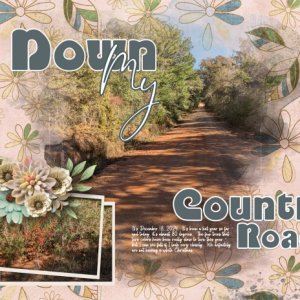 Down My Country Road