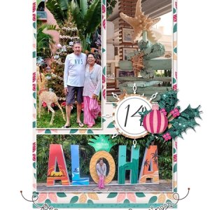 DD14 Waikiki Kalikimaka