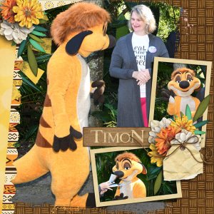 Meeting Timon