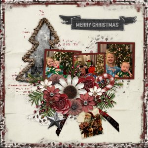 December Feeling with December Memories Temp 1#2-CarolW