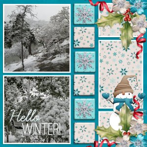 Hello WINTER!