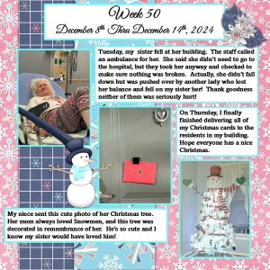 Project 365 Challenge - Week 50