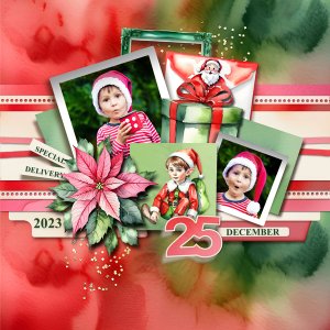 Made by Elves