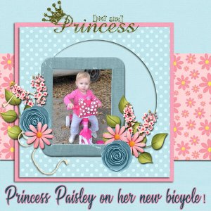 Paisley's New Bike