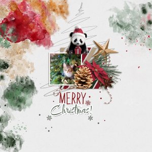 Merry Christmas