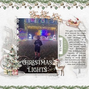 Christmas Lights