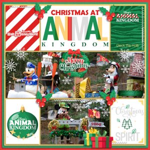 Christmas at Animal Kingdom