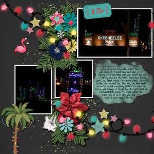 Lights 4 Hope 2024 - left