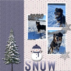 2024-12-21-Mojo snow