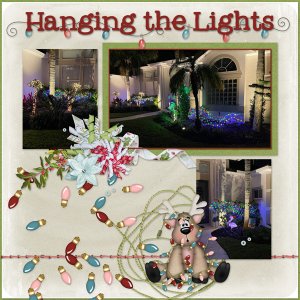Hanging the Lights 2024