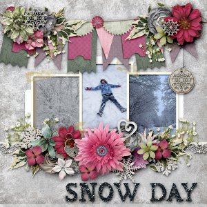 Snow Day