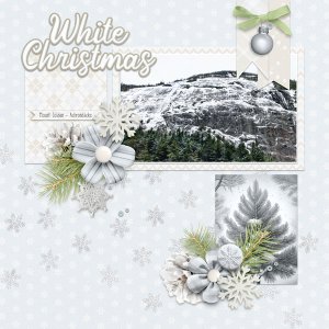 White Christmas 2024 ADKs