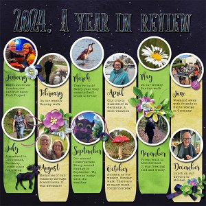 2024 in review
