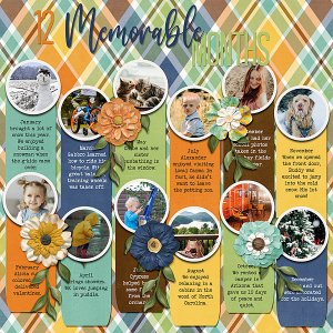 12 Memorable Months