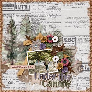 Under the Canopy