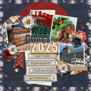 Goals for 2025