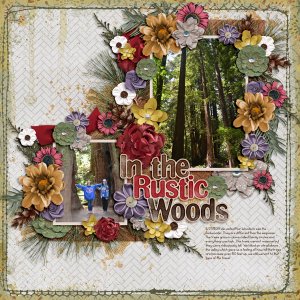 In-the-Rustic-Woods