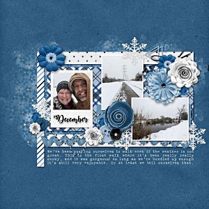 December Snowy Walk