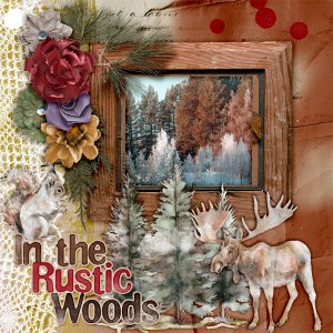 In-the-rustic-woods1