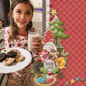 Home for the Holidays