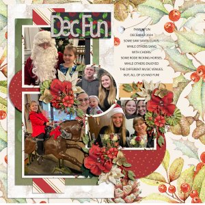 DEC FUN-TEMP 2-12-24