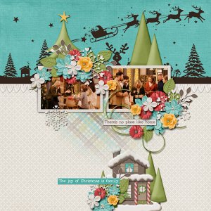 Home for the Holidays