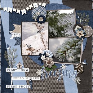_Brrrr Winter_