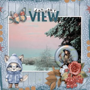 January-view