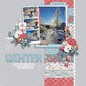 Winter Days