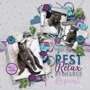 Rest, Relax, Recharge, and Repeat