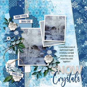Snow Crystals