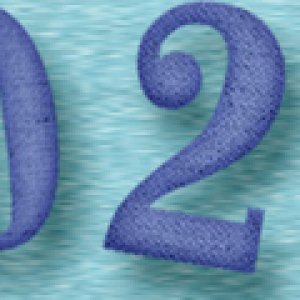 Jan 2025 Siggy