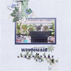 winter Windowsill