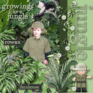 jungle