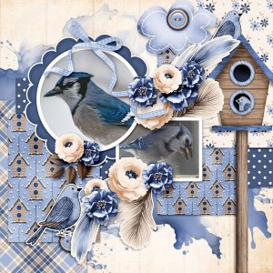 Blue Jays