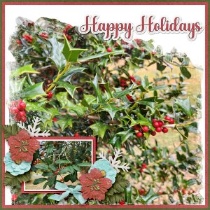 Happy Holidays