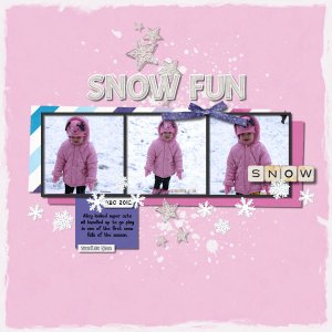 Snow Fun