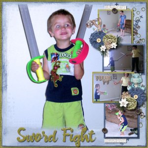 Sword Fight