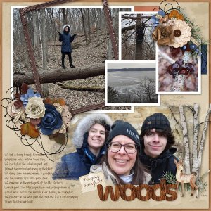 2025-Walk-in-the-Woods