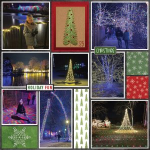 Wellfield Christmas 12-13-24-3