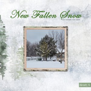 New Fallen Snow