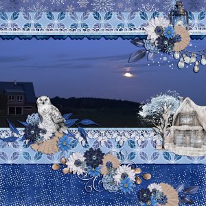 starry night