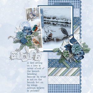 Winter birds
