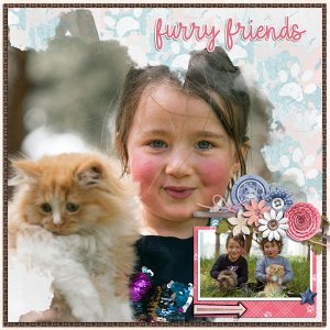 Furry friends